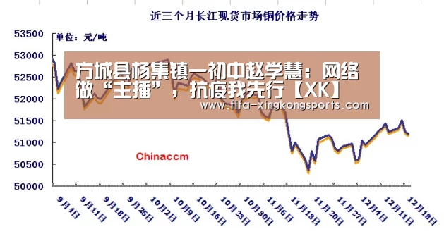 方城县杨集镇一初中赵学慧：网络做“主播”，抗疫我先行【XK】